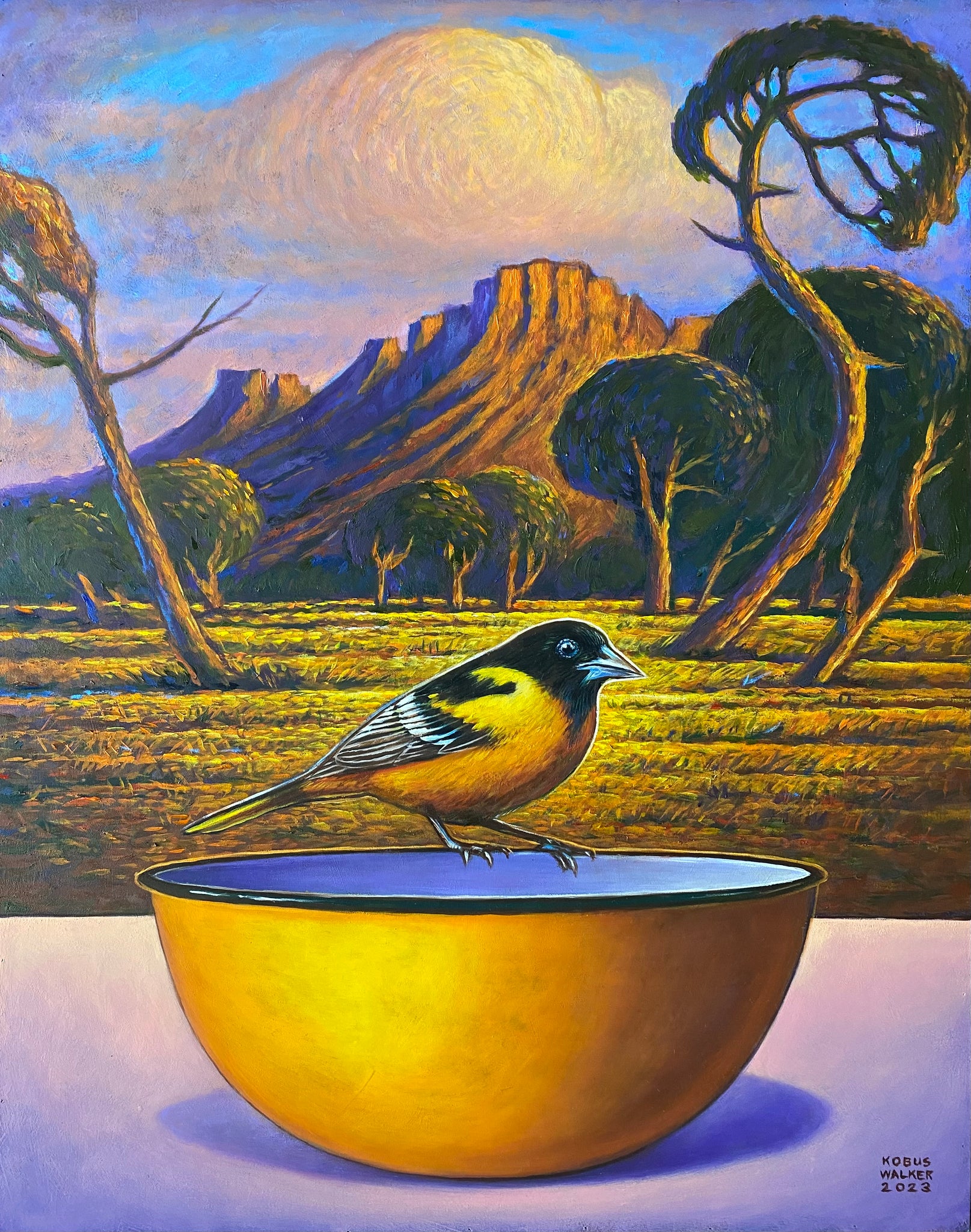 Oriole with Enamel bowl