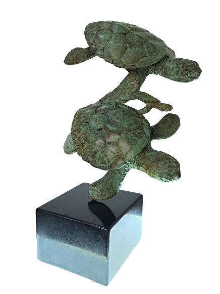 Two Turtles