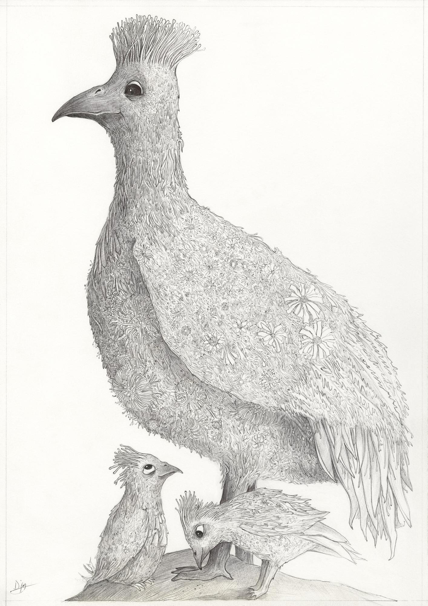 Fynbos Guinea Fowl - Print