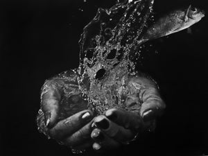 Momentous - Print 6/35